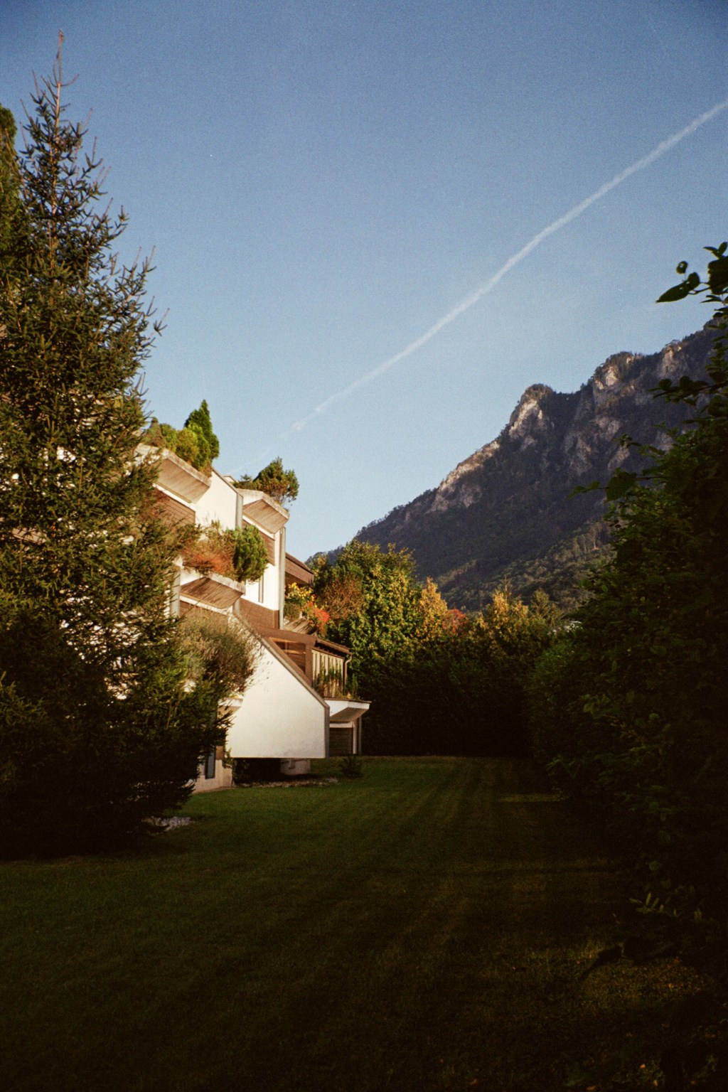 Artigo 214 sem título